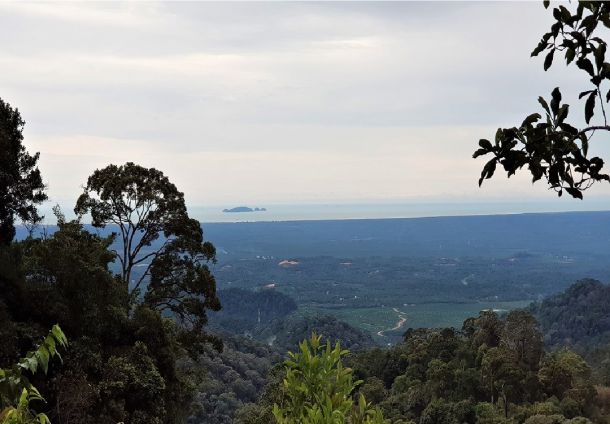 Bukit Banang