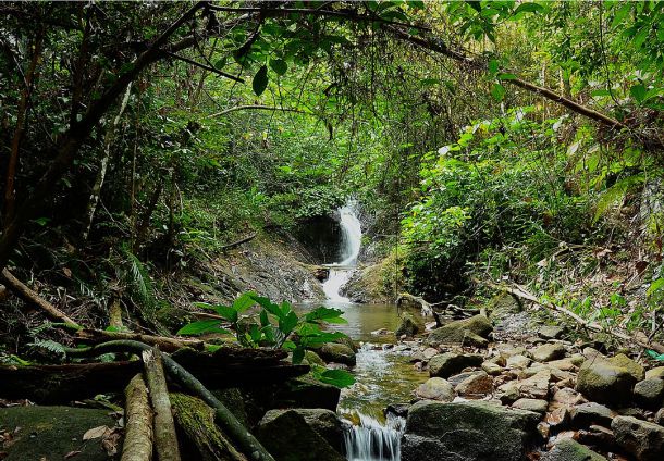 Gunung Belumut