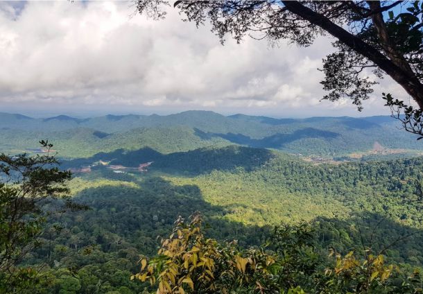 Gunung Panti