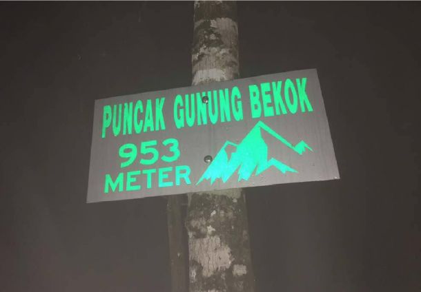 Gunung Bekok
