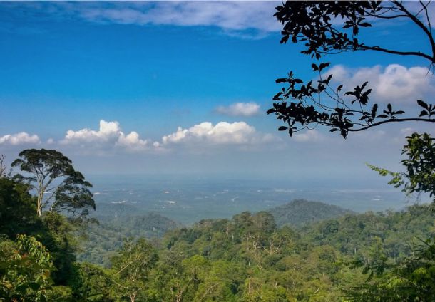 Gunung Pulai